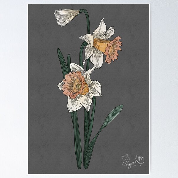 Artikel-Vorschau von Narzissenblüten, designt und verkauft von Marguerite Artistry.