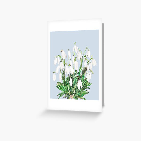 Aperçu de l'œuvre perce-neige blancs isolés 2025 créée et vendue par ColorandColor.