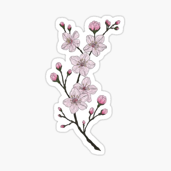 Artikel-Vorschau von Kirschblüten, designt und verkauft von Marguerite Artistry.