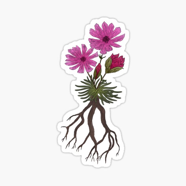 Artikel-Vorschau von Bitterwurzelblüten, designt und verkauft von Marguerite Artistry.