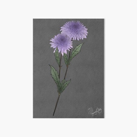 Aperçu de l'œuvre Fleurs d'aster violet créée et vendue par Marguerite Artistry.