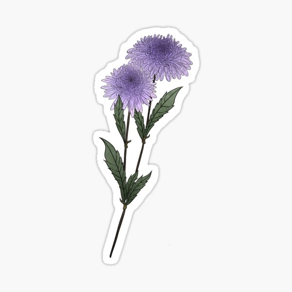 Artikel-Vorschau von Lila Asterblüten, designt und verkauft von Marguerite Artistry.