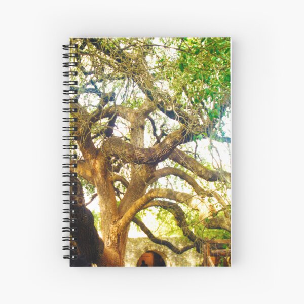 Remember the Alamo Tree Spiral Notebook