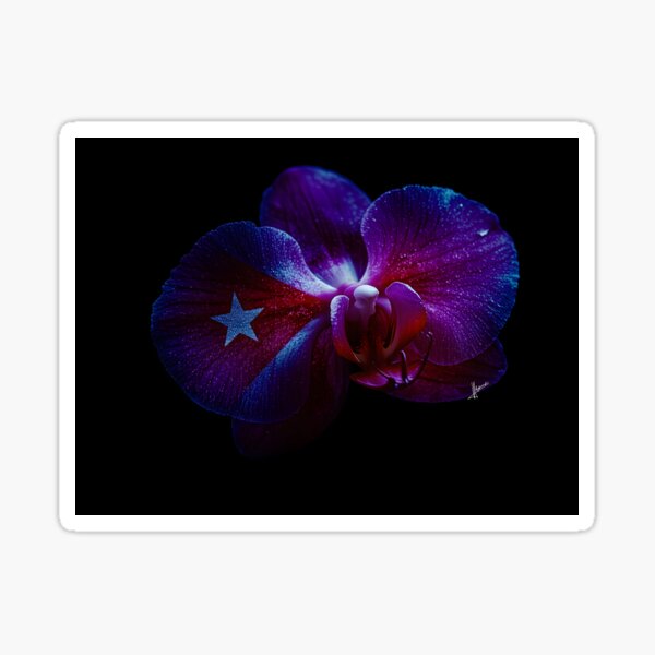 Item preview, Orchid designed and sold by KUBANOPLUS ART.