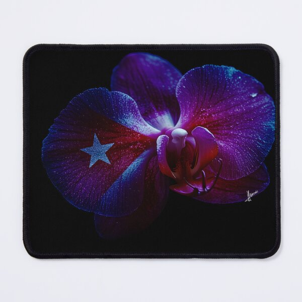 Item preview, Orchid designed and sold by KUBANOPLUS ART.