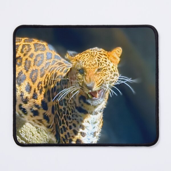 Item preview, Sassy Cat designed and sold by CraftsmAnimals.