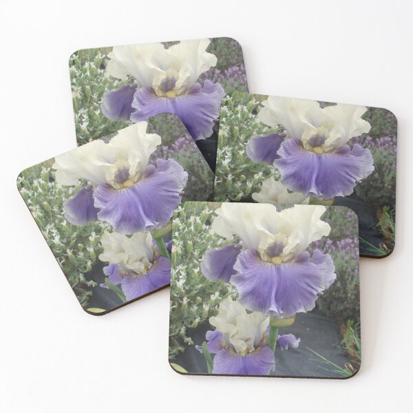 Item preview, Iris Flower Purple and White Frilly - Champagne Journey designed and sold by Sarah  Rajkotwala.