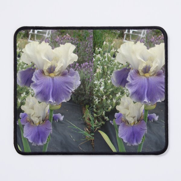 Item preview, Iris Flower Purple and White Frilly - Champagne Journey designed and sold by Sarah  Rajkotwala.