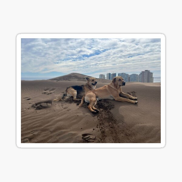 Item preview, Wild Chilean Dogs on the Dunes designed and sold by MinaBohl.