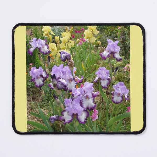 Item preview, Iris Flower Garden Beautiful Purple and Yellow Irises designed and sold by Sarah  Rajkotwala.