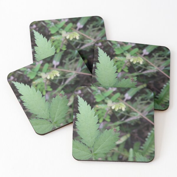 Item preview, Small Winged Animal perched on a young green leaf of a plant. designed and sold by Yusuf-Design.