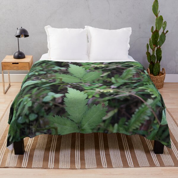 Item preview, Small Winged Animal perched on a young green leaf of a plant. designed and sold by Yusuf-Design.