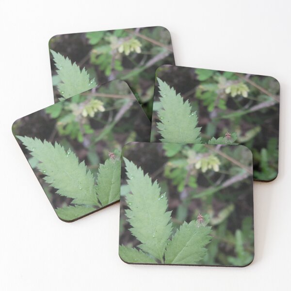 Item preview, Small Winged Animal perched on a beautiful young green leaf of a plant designed and sold by Yusuf-Design.