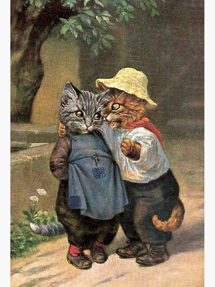 Impression Rigide Cat Amoureux De Chat Couple Tom Cat Et Copine Deux Chats Par Seahorsewonder Redbubble