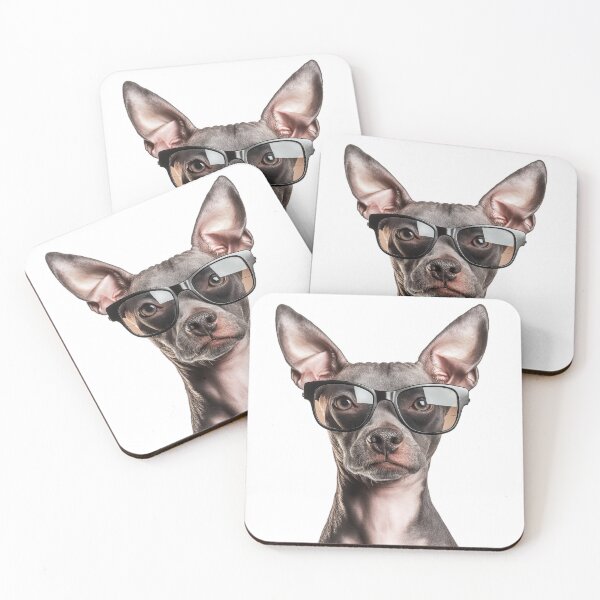 Item preview, Funny cool American hairless terrier Dog wearing sunglasses designed and sold by LazyOwlStore.