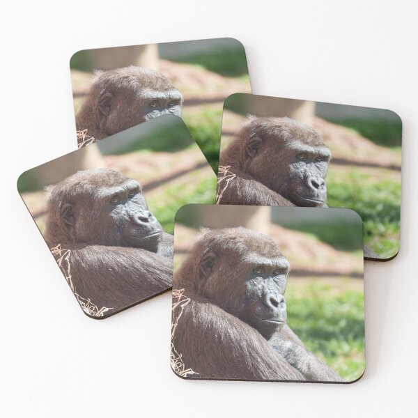 Item preview, Shufai the Gorilla Basking in the Sun designed and sold by rawshutterbug.