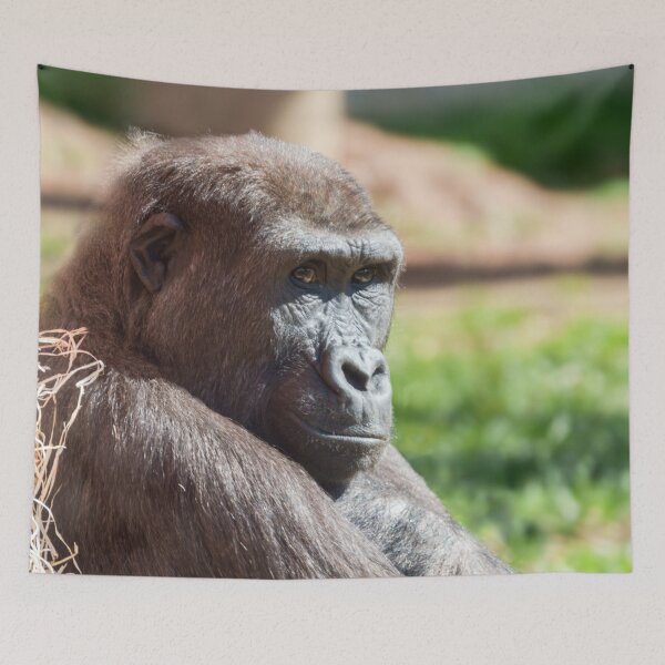 Item preview, Shufai the Gorilla Basking in the Sun designed and sold by rawshutterbug.