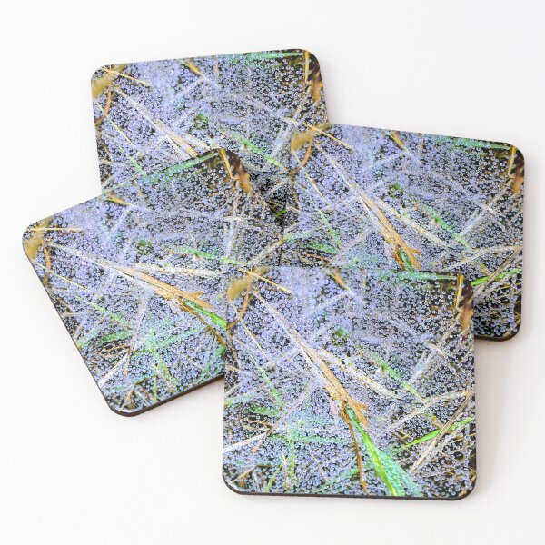 Item preview, Dew drops on a spider web designed and sold by JacquiTaylorArt.