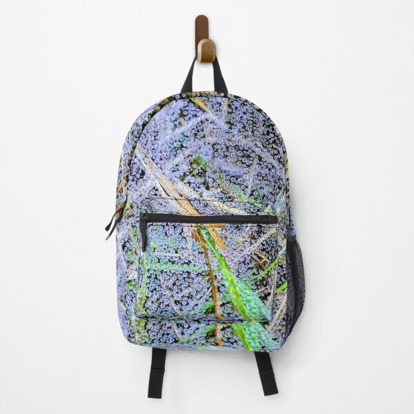 Item preview, Dew drops on a spider web designed and sold by JacquiTaylorArt.