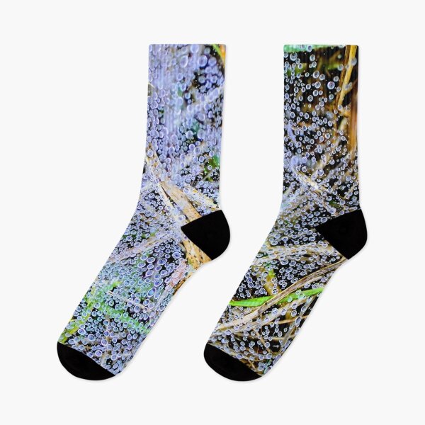 Item preview, Dew drops on a spider web designed and sold by JacquiTaylorArt.