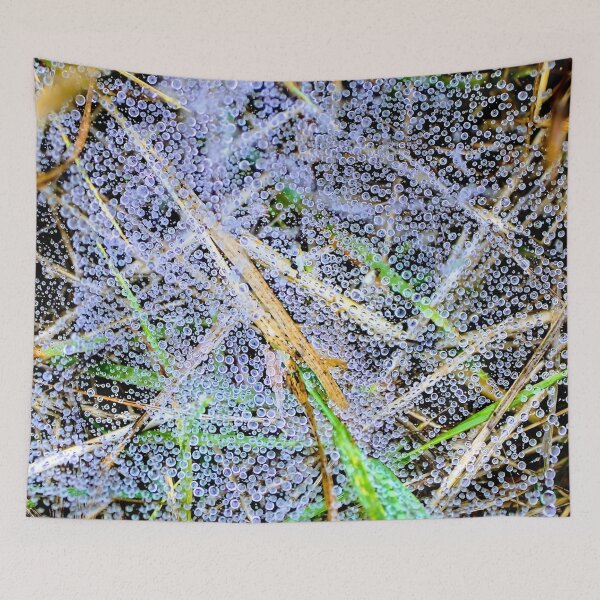 Item preview, Dew drops on a spider web designed and sold by JacquiTaylorArt.