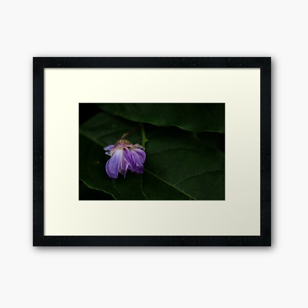 Item preview, Fallen flower designed and sold by Agnes McGuinness.