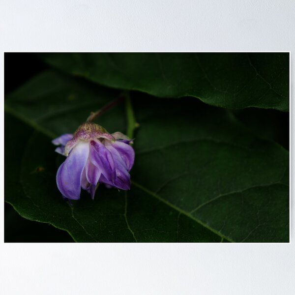 Item preview, Fallen flower designed and sold by Agnes McGuinness.