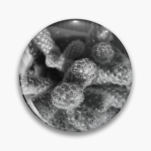 Item preview, Mammillaria Cactus Black And White designed and sold by MercerImages.