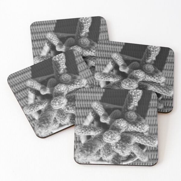 Item preview, Mammillaria Cactus Black And White designed and sold by MercerImages.
