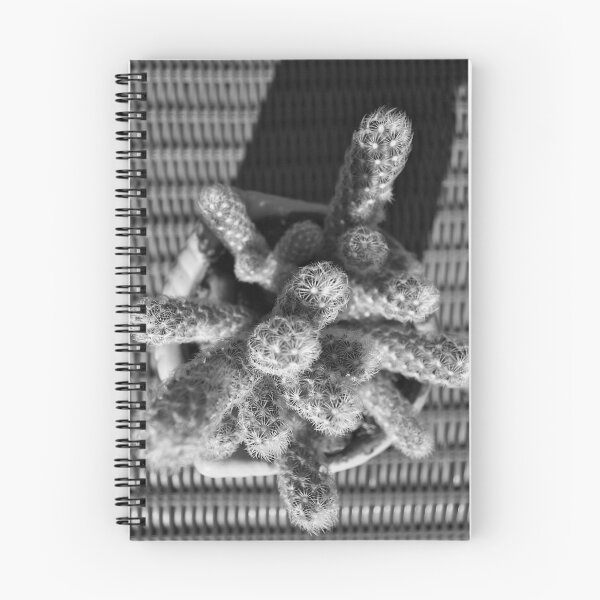 Item preview, Mammillaria Cactus Black And White designed and sold by MercerImages.