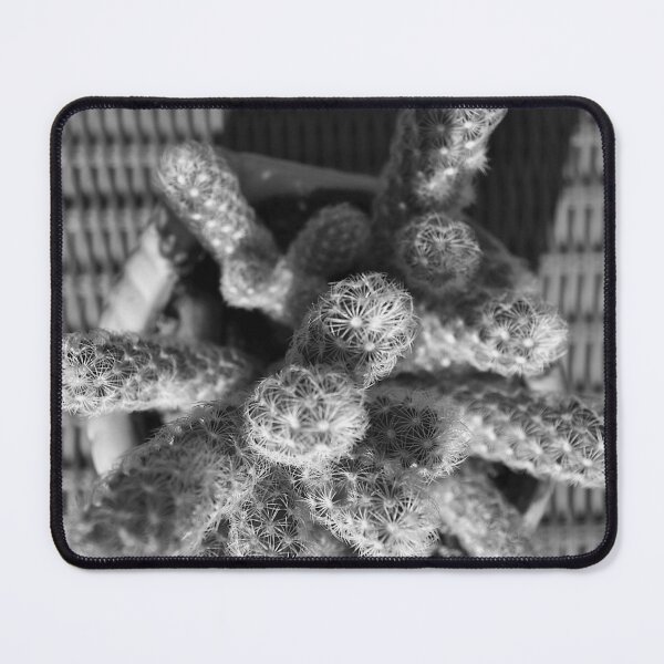 Item preview, Mammillaria Cactus Black And White designed and sold by MercerImages.