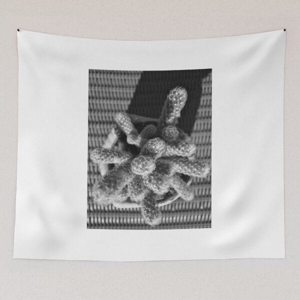 Item preview, Mammillaria Cactus Black And White designed and sold by MercerImages.