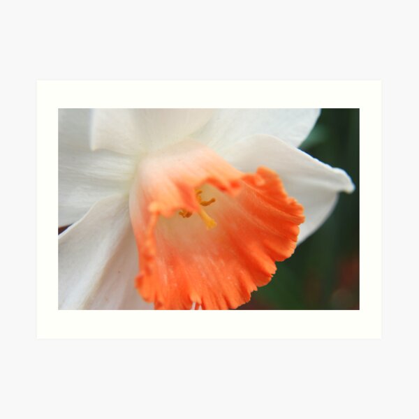 Spring Fashion Art Print