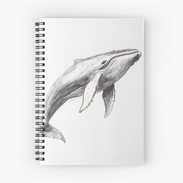 Item preview, Realistic Whale pencil drawing designed and sold by Pencil-Art.