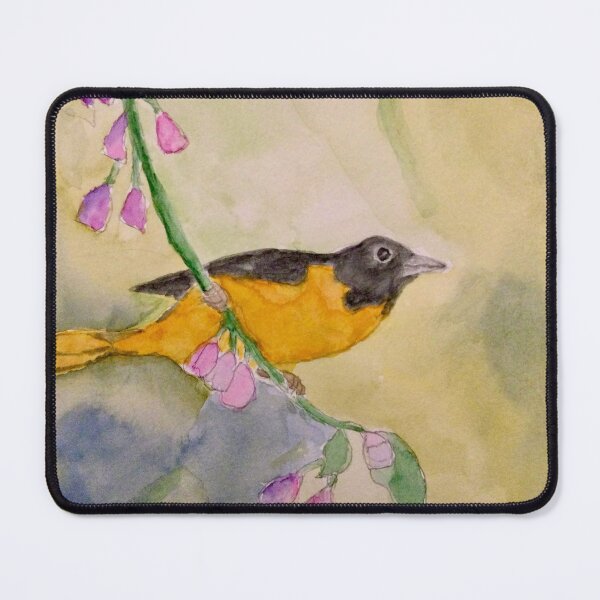 Item preview, Baltimore Oriole  designed and sold by Jill Midthune.