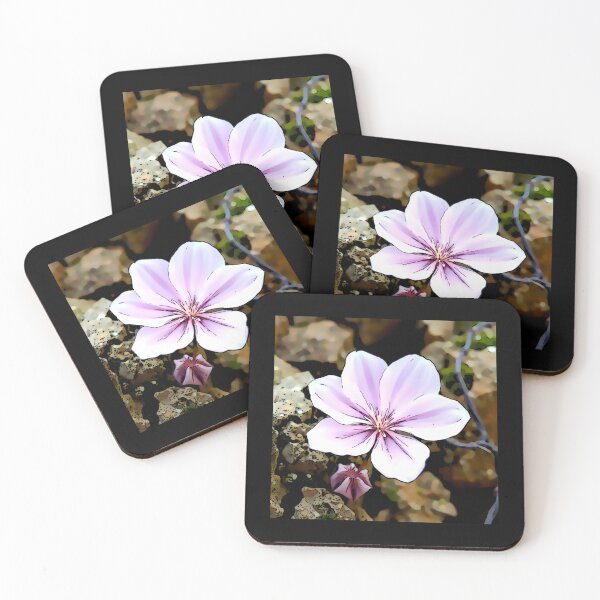 Item preview, Silene tomentosa the Gibraltar campion#5 designed and sold by Helios Be. Lavsh.