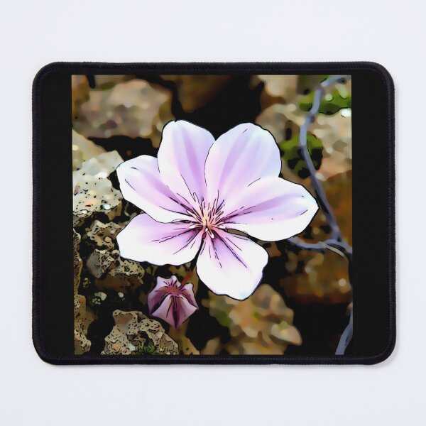 Item preview, Silene tomentosa the Gibraltar campion#5 designed and sold by Helios Be. Lavsh.
