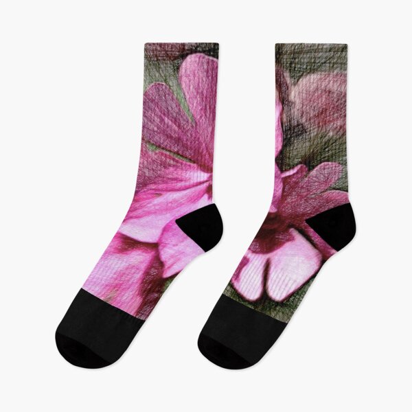 Item preview, Silene tomentosa the Gibraltar campion#6 designed and sold by Helios Be. Lavsh.