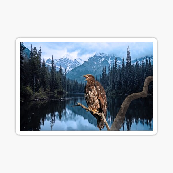 Item preview, Immature Eagle designed and sold by billfox256.