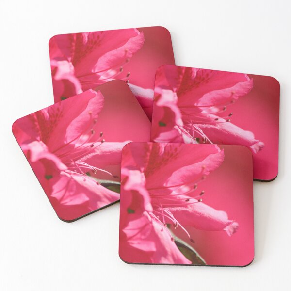 Item preview, Into the Pink designed and sold by Olivia Plasencia.