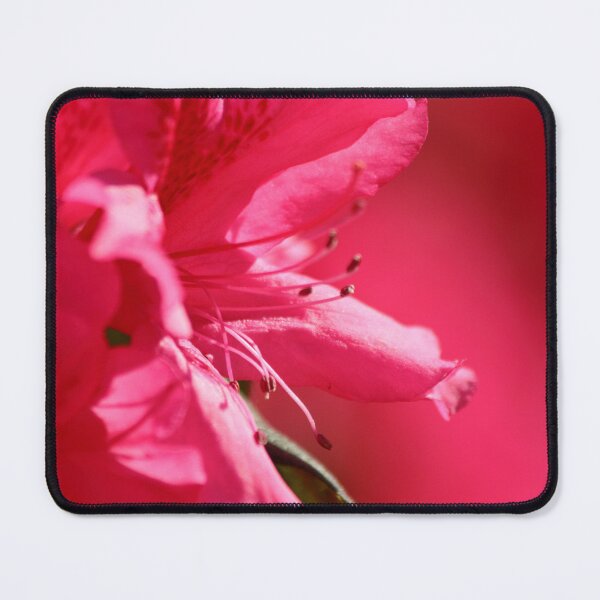 Item preview, Into the Pink designed and sold by Olivia Plasencia.