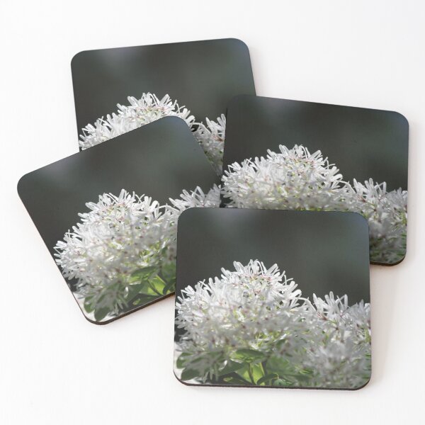 Item preview, Gentleness designed and sold by Olivia Plasencia.