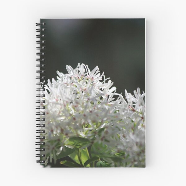 Item preview, Gentleness designed and sold by Olivia Plasencia.