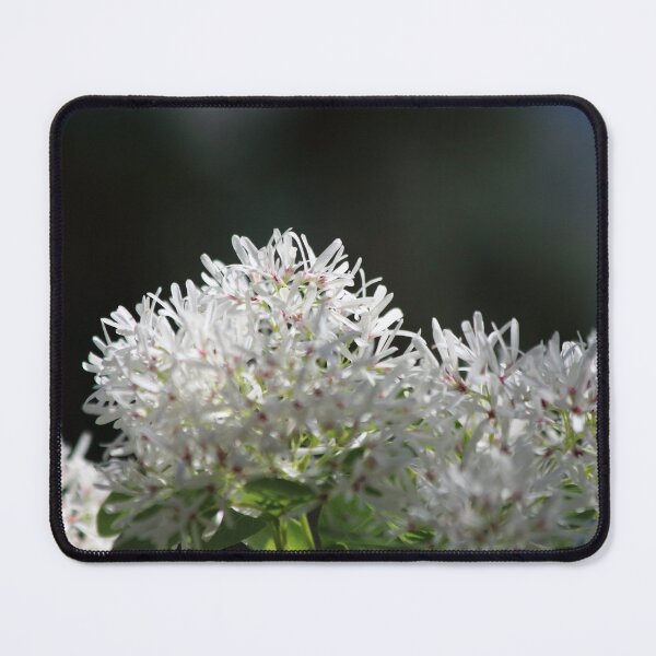 Item preview, Gentleness designed and sold by Olivia Plasencia.