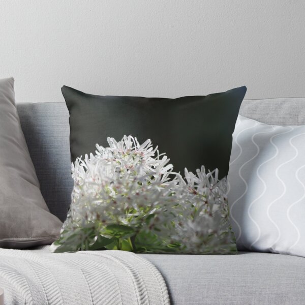 Item preview, Gentleness designed and sold by Olivia Plasencia.