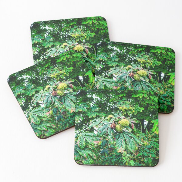 Item preview, Horse Chestnut Tree designed and sold by Stuart Chard Photography.