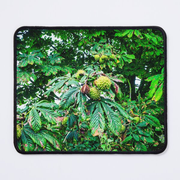 Item preview, Horse Chestnut Tree designed and sold by Stuart Chard Photography.