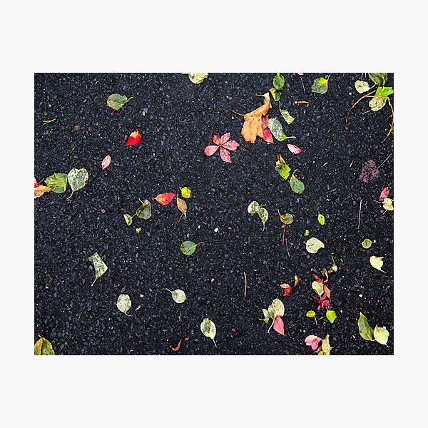 Item preview, Autumn Leafs on Asphalt designed and sold by Frank Parisi.