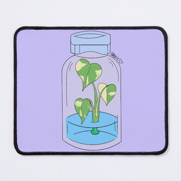 Item preview, Tissue Culture Monstera Thai Con designed and sold by vmarieb-art.