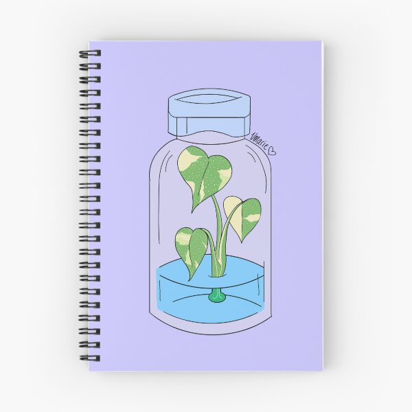 Item preview, Tissue Culture Monstera Thai Con designed and sold by vmarieb-art.